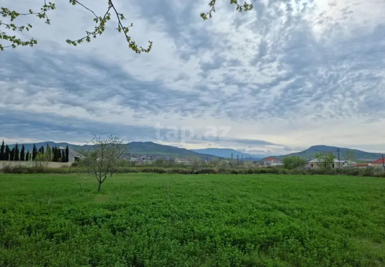 30 sot Torpaq Satılır, Bakı