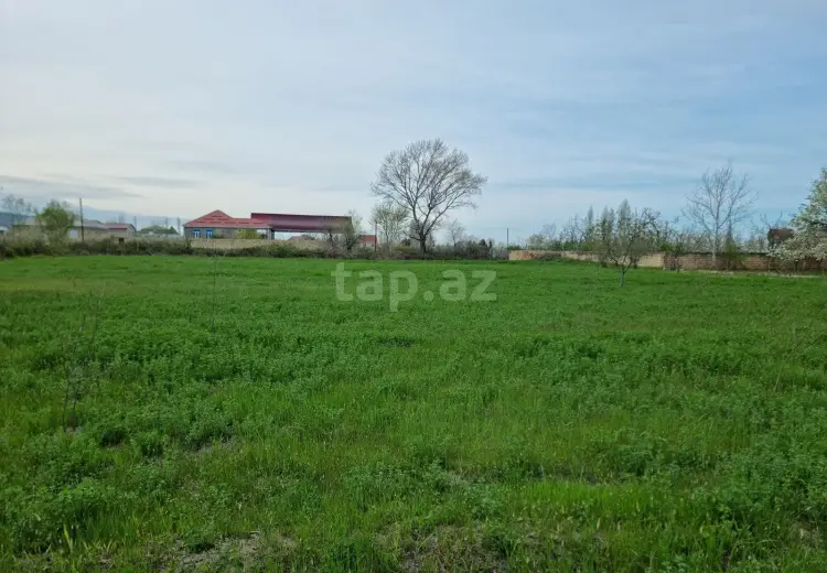 30 sot Torpaq Satılır, Bakı