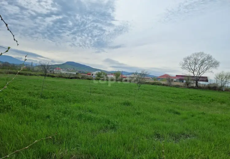 30 sot Torpaq Satılır, Bakı