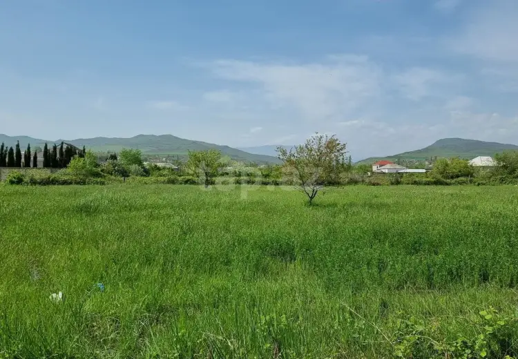 30 sot Torpaq Satılır, Bakı