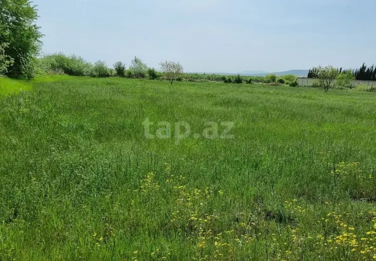 30 sot Torpaq Satılır, Bakı