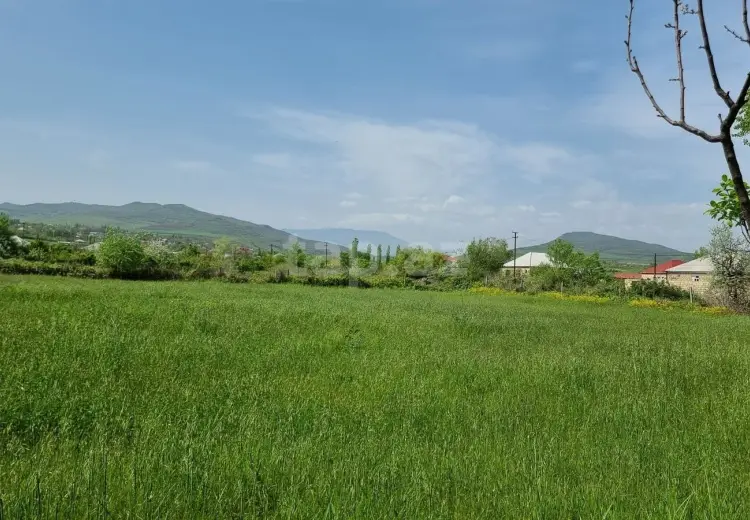 30 sot Torpaq Satılır, Bakı