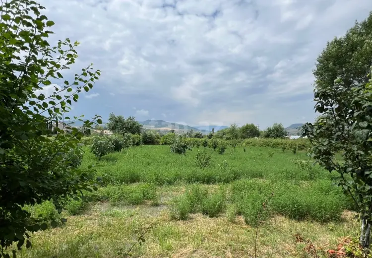30 sot Torpaq Satılır, Bakı