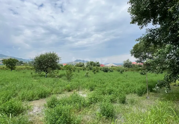 30 sot Torpaq Satılır, Bakı