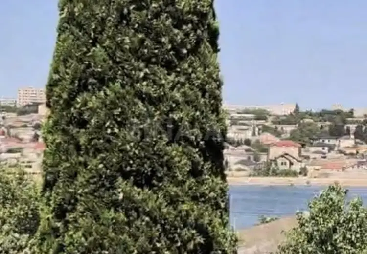 24 sot Torpaq Satılır, Bakıxanov qəs., Sabunçu, Bakı