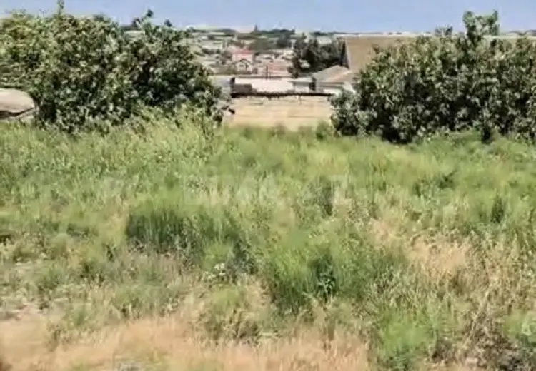 24 sot Torpaq Satılır, Bakıxanov qəs., Sabunçu, Bakı