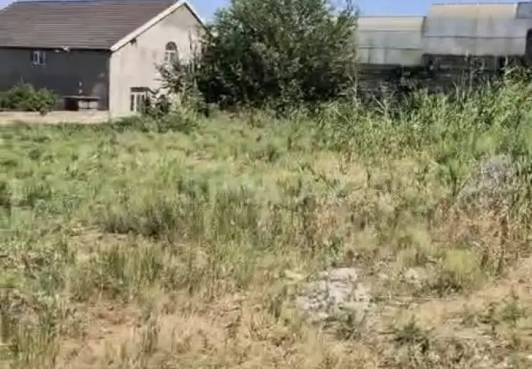 24 sot Torpaq Satılır, Bakıxanov qəs., Sabunçu, Bakı