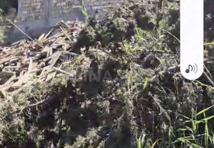 24 sot Torpaq Satılır, Bakıxanov qəs., Sabunçu, Bakı