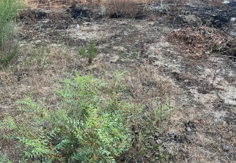6 sot Torpaq Satılır, Dübəndi, Xəzər, Bakı