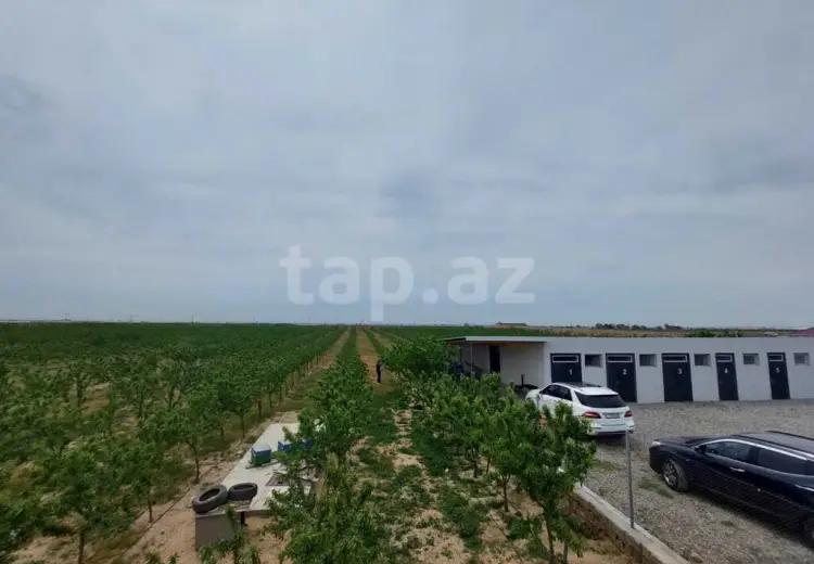 0 m² Obyekt / Ofis Satılır, Türkan, Xəzər, Bakı