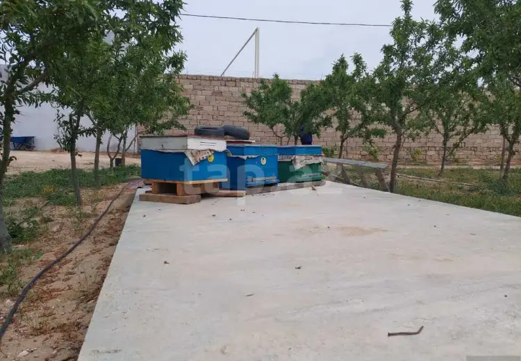 0 m² Obyekt / Ofis Satılır, Türkan, Xəzər, Bakı