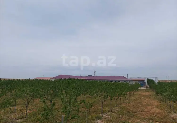 0 m² Obyekt / Ofis Satılır, Türkan, Xəzər, Bakı