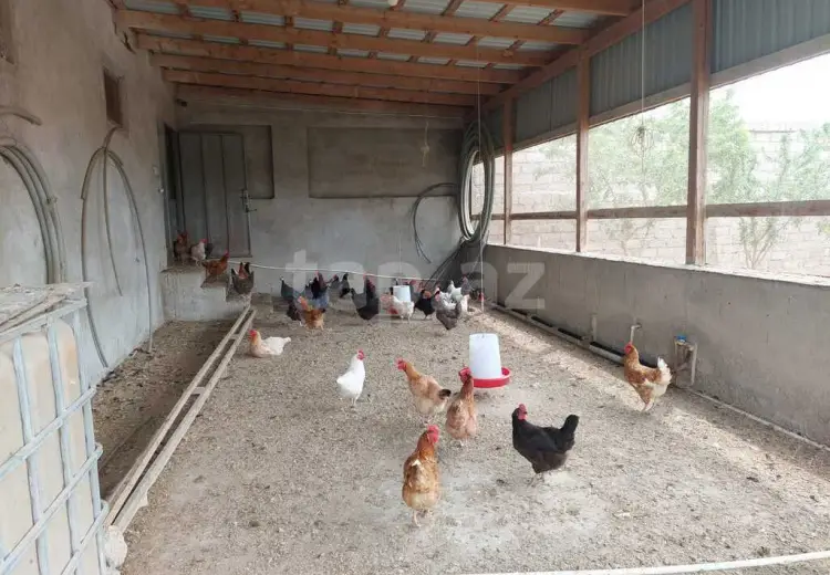 0 m² Obyekt / Ofis Satılır, Türkan, Xəzər, Bakı