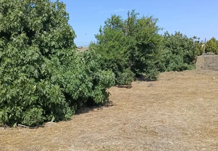 15 sot Torpaq Satılır, Digah, Abşeron