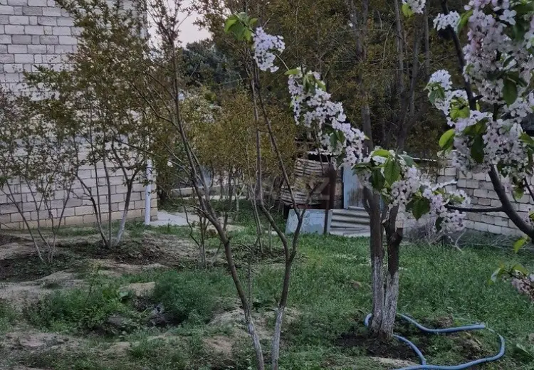 3 sot Torpaq Satılır, Biləcəri qəs., Binəqədi, Bakı