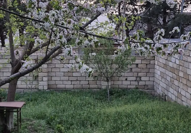 3 sot Torpaq Satılır, Biləcəri qəs., Binəqədi, Bakı
