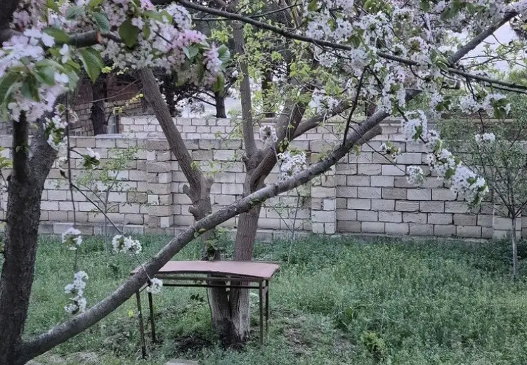 3 sot Torpaq Satılır, Biləcəri qəs., Binəqədi, Bakı