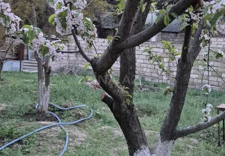 3 sot Torpaq Satılır, Biləcəri qəs., Binəqədi, Bakı
