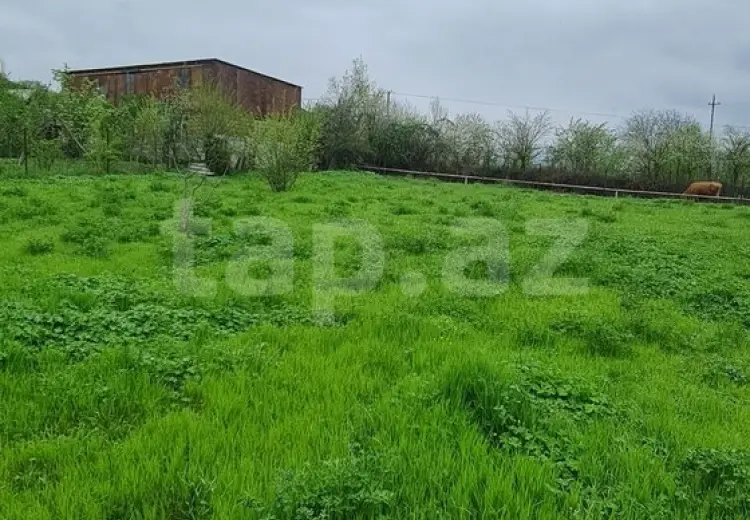 12 sot Torpaq Satılır, Quba