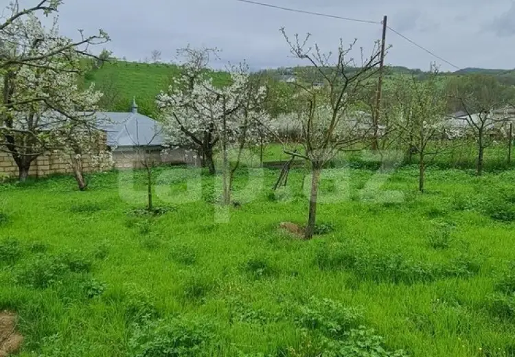 12 sot Torpaq Satılır, Quba