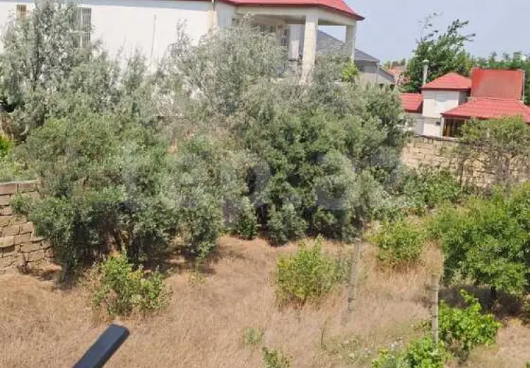 9 sot Torpaq Satılır, Pirşağı qəs., Sabunçu, Bakı