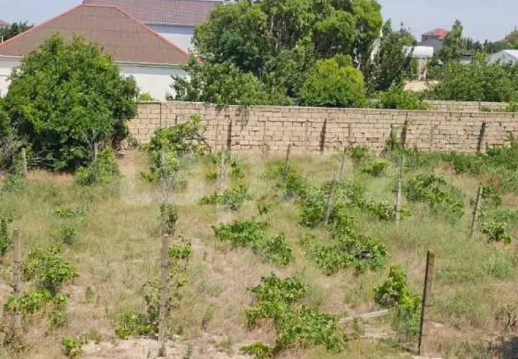 9 sot Torpaq Satılır, Pirşağı qəs., Sabunçu, Bakı