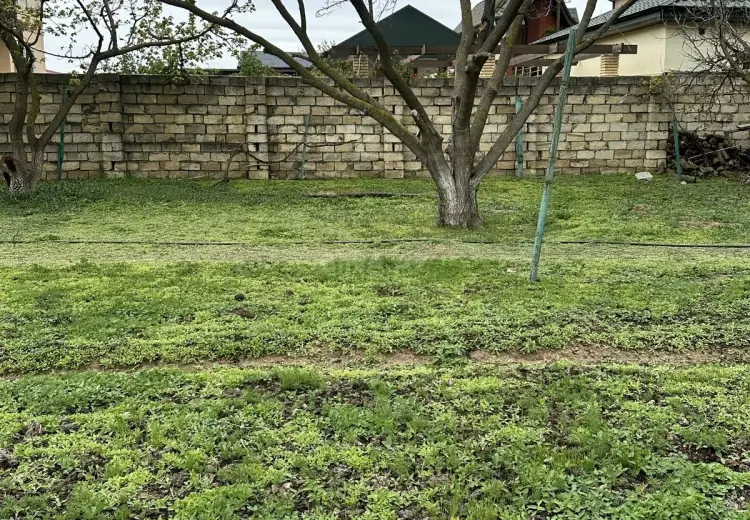 3 sot Torpaq Satılır, Novxanı, Abşeron