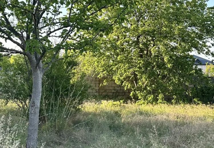4 sot Torpaq Satılır, Novxanı, Abşeron