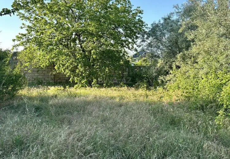 4 sot Torpaq Satılır, Novxanı, Abşeron