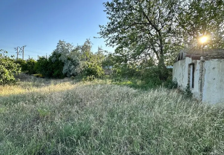 4 sot Torpaq Satılır, Novxanı, Abşeron