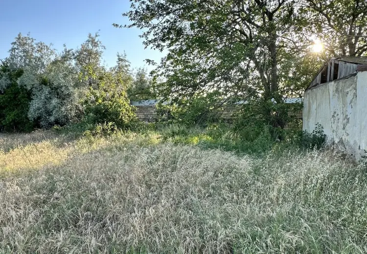 4 sot Torpaq Satılır, Novxanı, Abşeron