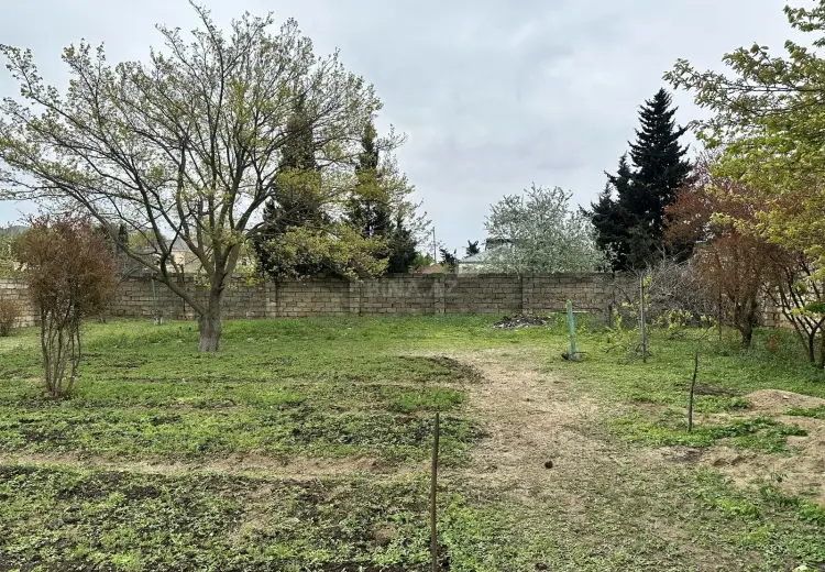 4 sot Torpaq Satılır, Novxanı, Abşeron