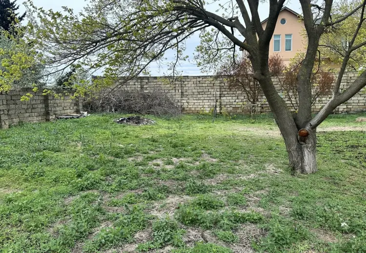 4 sot Torpaq Satılır, Novxanı, Abşeron