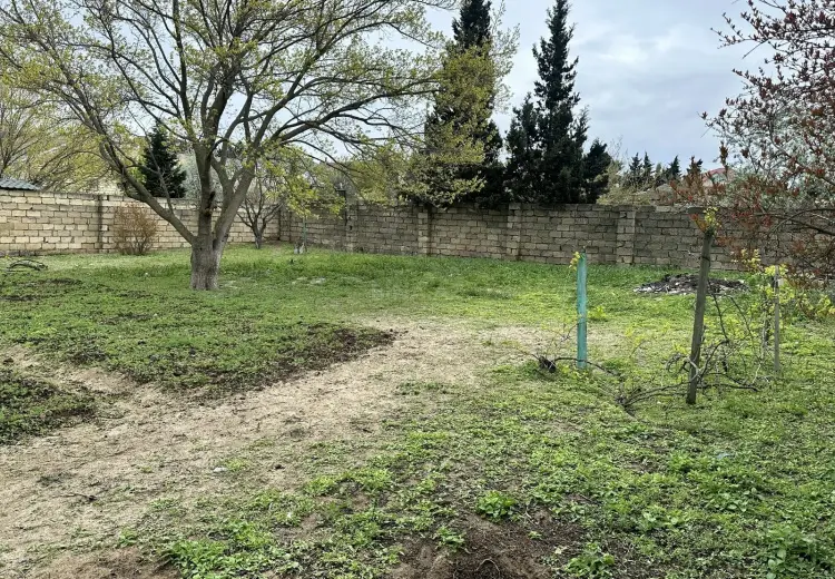 4 sot Torpaq Satılır, Novxanı, Abşeron