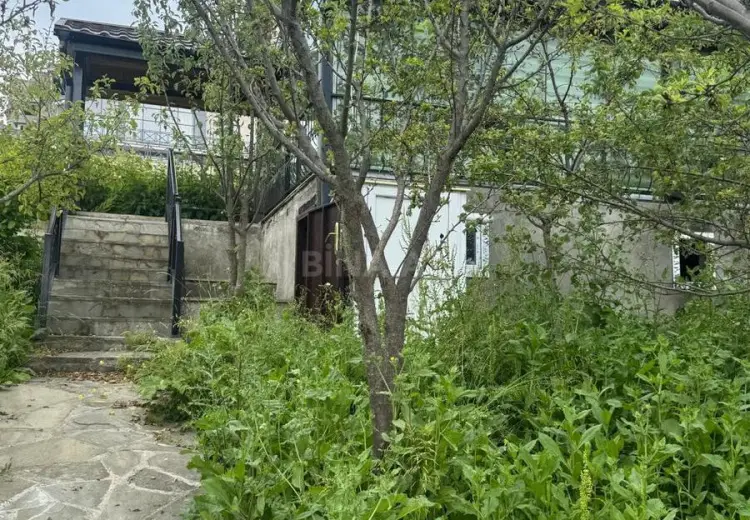 12 sot Torpaq Satılır, Şamaxı