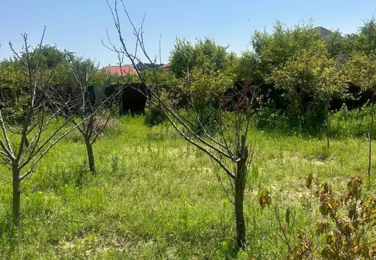 2 sot Torpaq Satılır, Novxanı, Abşeron