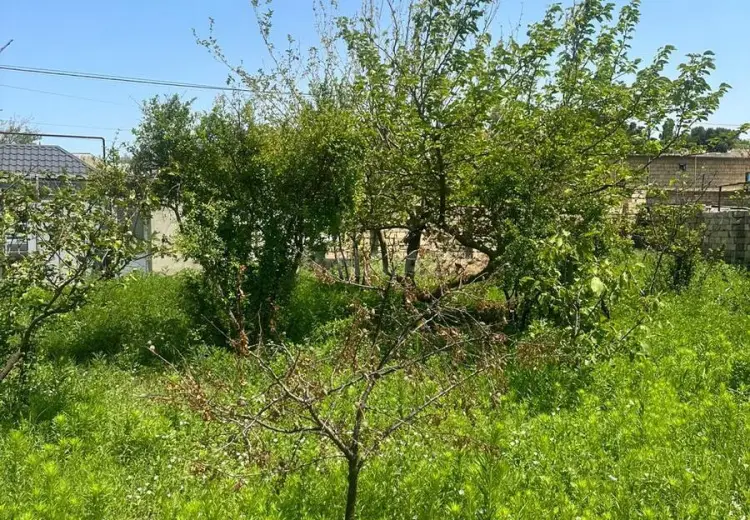 2 sot Torpaq Satılır, Novxanı, Abşeron