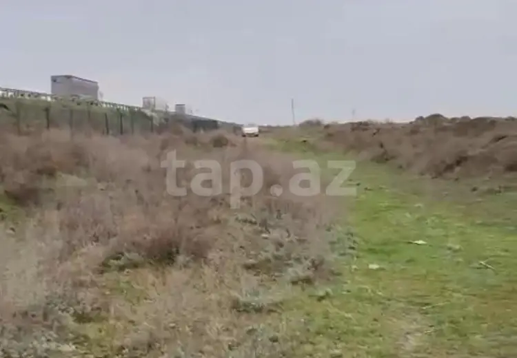 86 sot Torpaq Satılır, Salyan