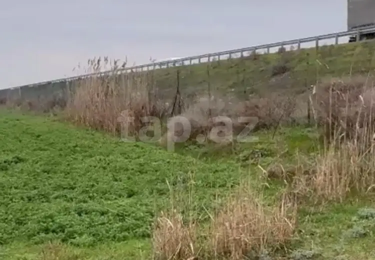 86 sot Torpaq Satılır, Salyan