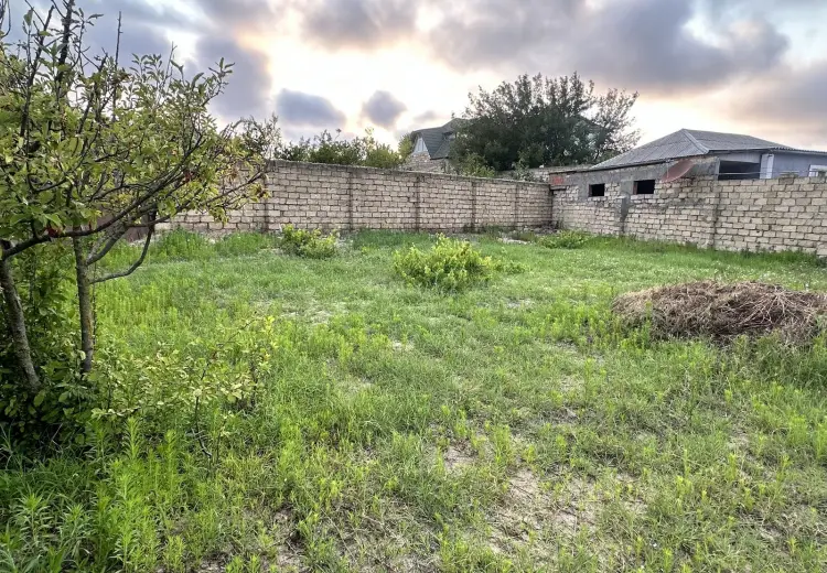 4 sot Torpaq Satılır, Novxanı, Abşeron