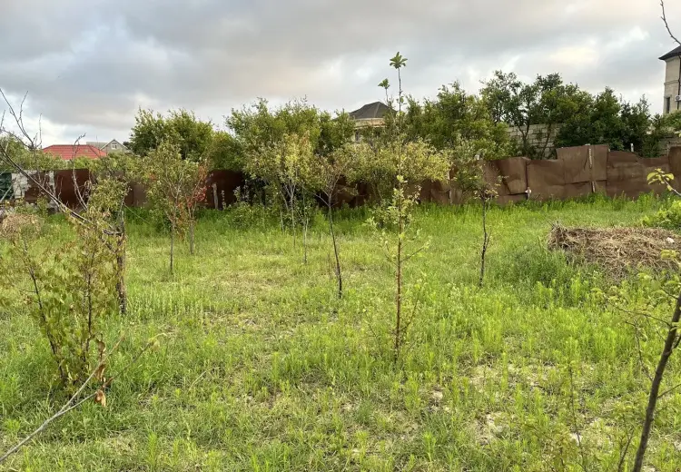 4 sot Torpaq Satılır, Novxanı, Abşeron