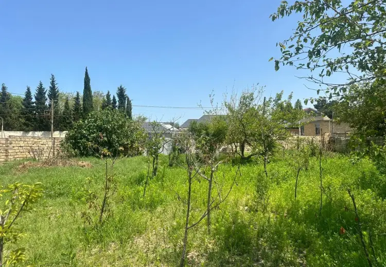 4 sot Torpaq Satılır, Novxanı, Abşeron