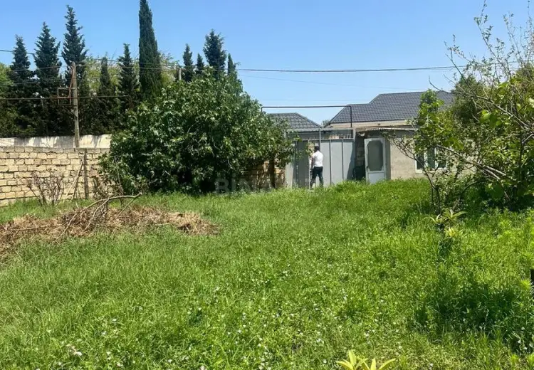 4 sot Torpaq Satılır, Novxanı, Abşeron