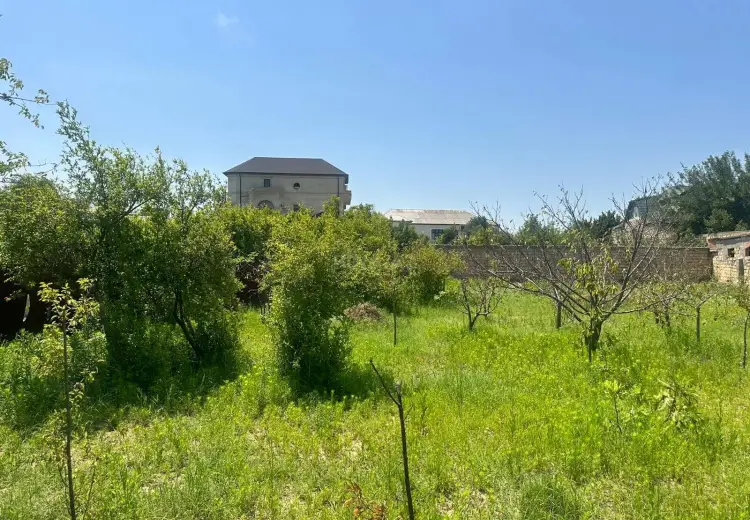 4 sot Torpaq Satılır, Novxanı, Abşeron