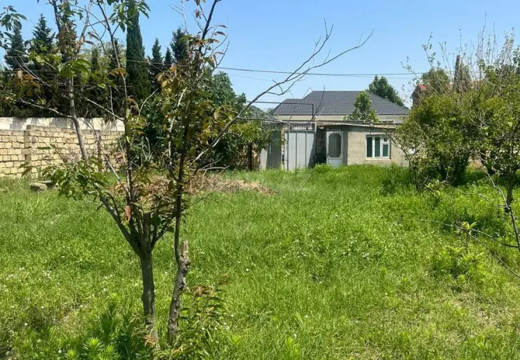 4 sot Torpaq Satılır, Novxanı, Abşeron