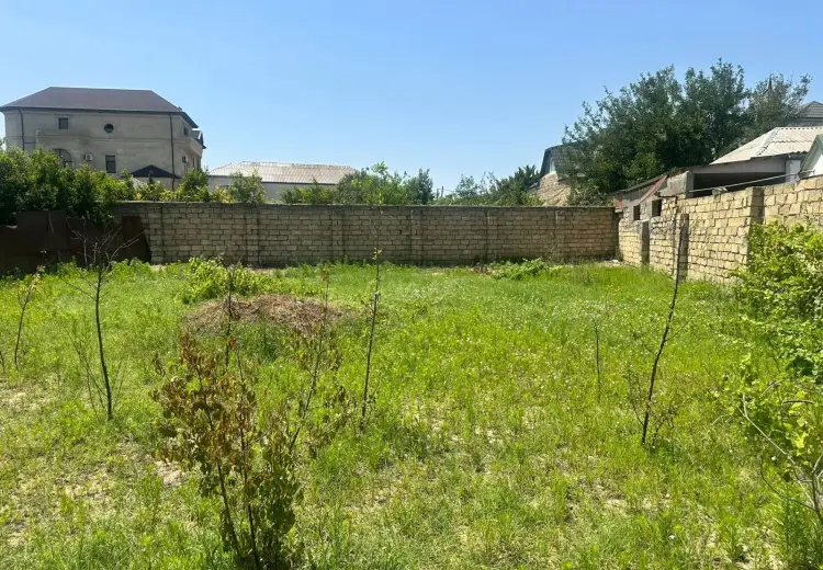 4 sot Torpaq Satılır, Novxanı, Abşeron