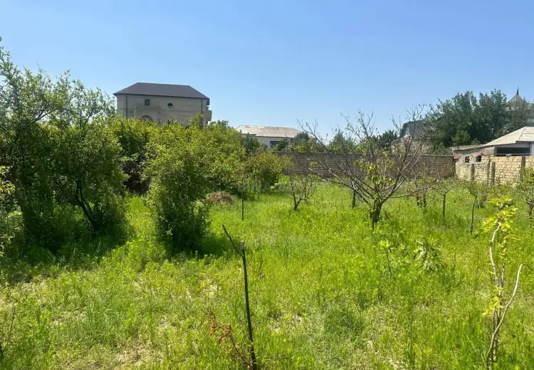 3 sot Torpaq Satılır, Novxanı, Abşeron