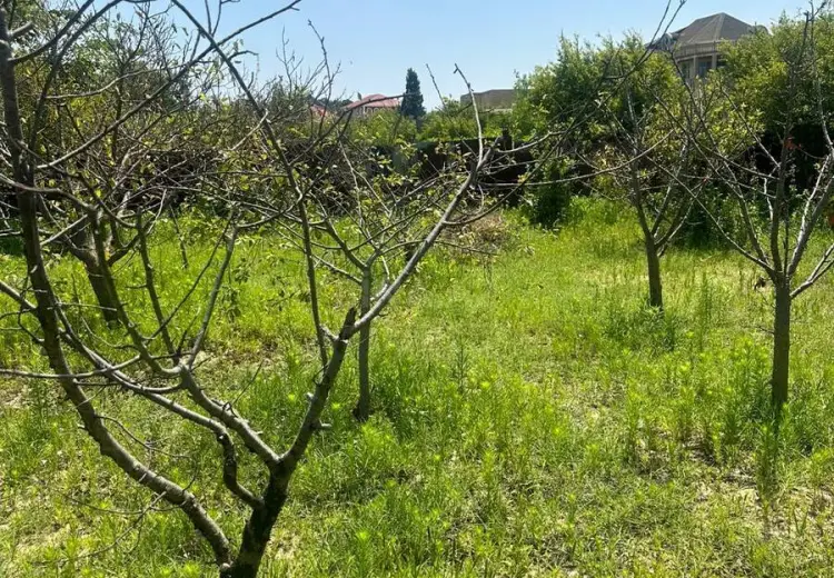 3 sot Torpaq Satılır, Novxanı, Abşeron