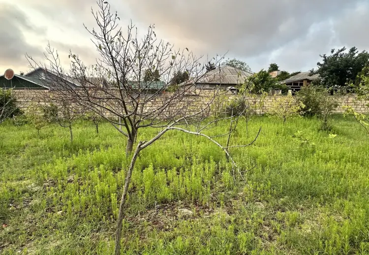 2 sot Torpaq Satılır, Novxanı, Abşeron
