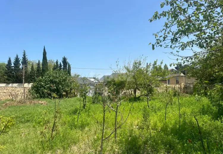 2.5 sot Torpaq Satılır, Bakı